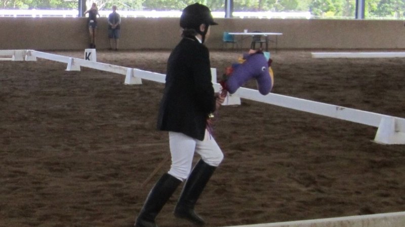 Hobby horse competition not just gallivanting around the paddock
