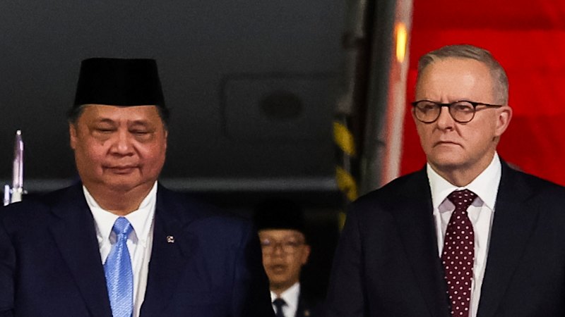 Australia news LIVE: Waters elected as new leader of the Greens; Albanese meets with Indonesian President Subianto in Jakarta