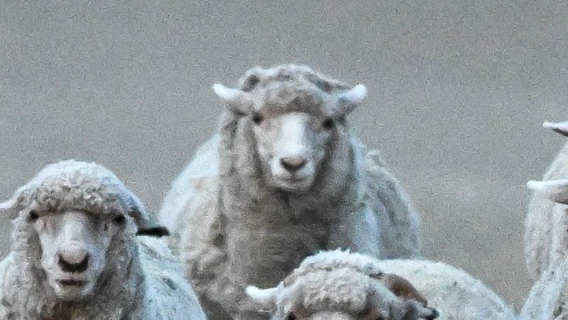 When desperate farmers prayed for rain in the midst of a hidden drought
