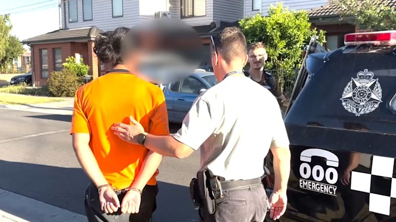 ‘Wind whistling through hole in his neck’: Alleged Hamad foot soldiers launch bid for bail