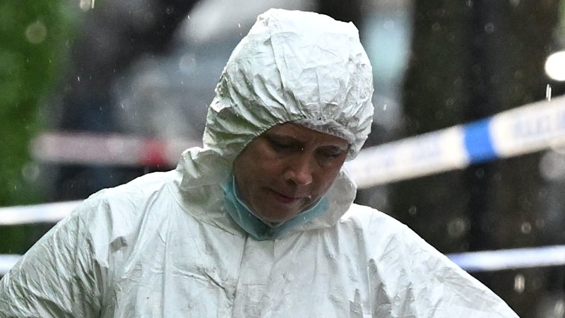 Man arrested over fires at Keir Starmer properties