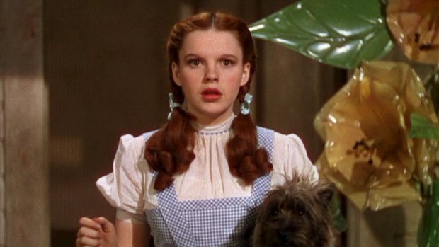 Judy garland's dress wizard oz store