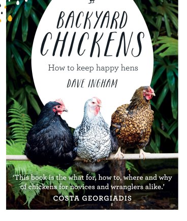 Backyard Chooks World S Easiest Pet Or Ethical Minefield