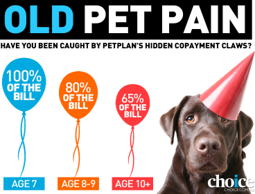 Choice Reviews What Pet Insurance Really Covers And If It Is Worth It