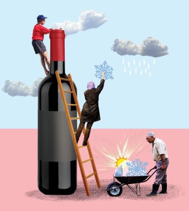 The Full Bottle What Is The Difference Between Shiraz And Syrah