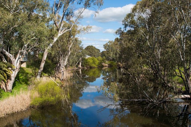 Six reasons to visit Rutherglen