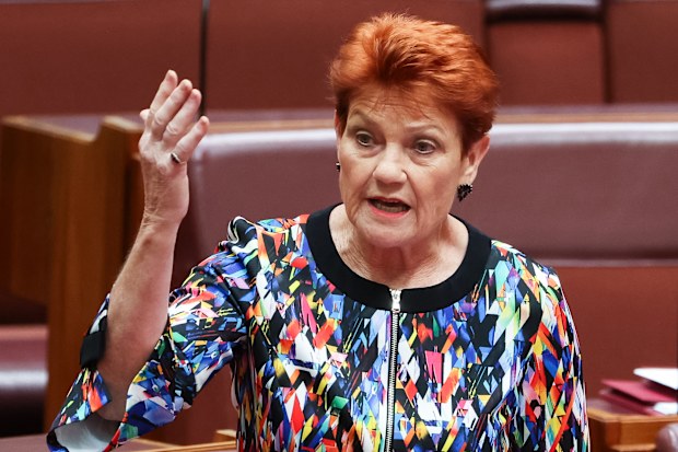 Pauline Hanson urges PM Anthony Albanese to overturn her ...