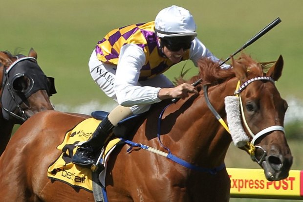 Trainer Brendan McCarthy to face stewards