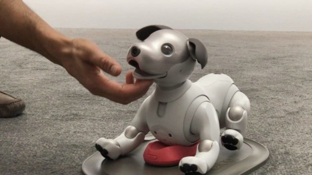 Robot pets 2018 cheap