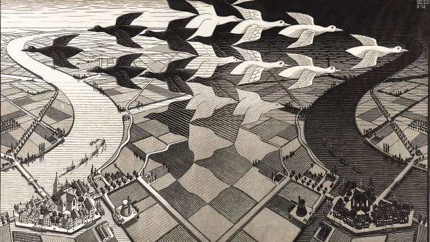 Escher x nendo at the NGV: A new dimension to the master of 