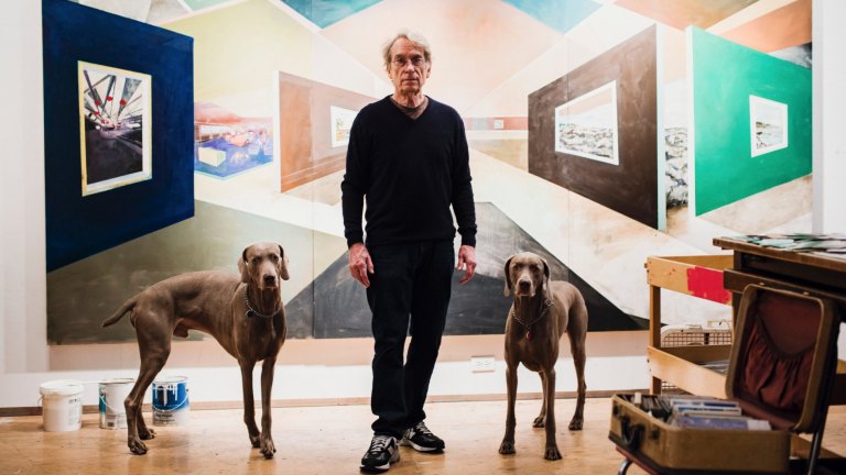 What Can William Wegman S Dogs Tell Us About Being Human