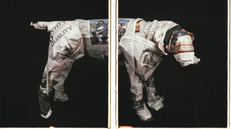 What Can William Wegman S Dogs Tell Us About Being Human
