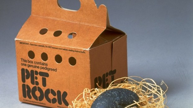Pet rock shop year