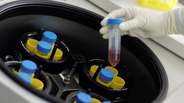 Drug Maker Mesoblast To Go Commercial After Japanese Approval For Treatment