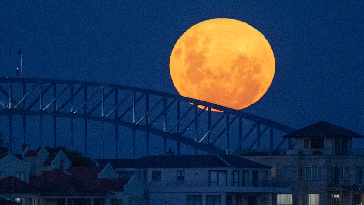 Lunar eclipses, meteor showers Australia 2025: Your guide to Australia ...