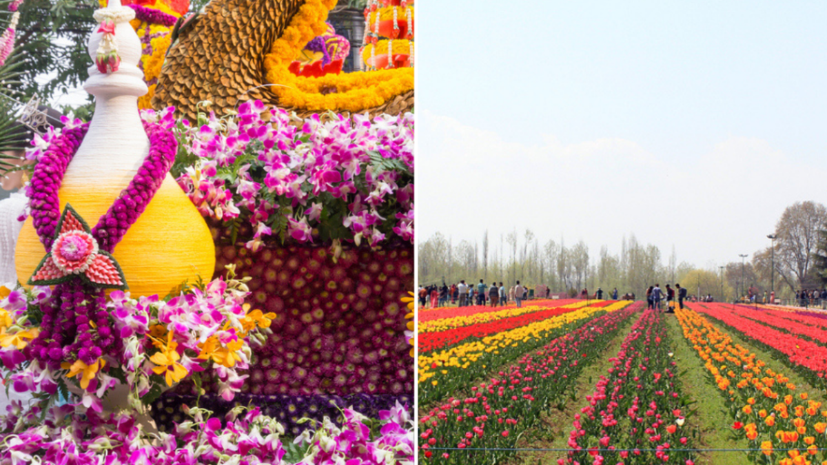 The best places to see blossoms and spring blooms around the world | In ...