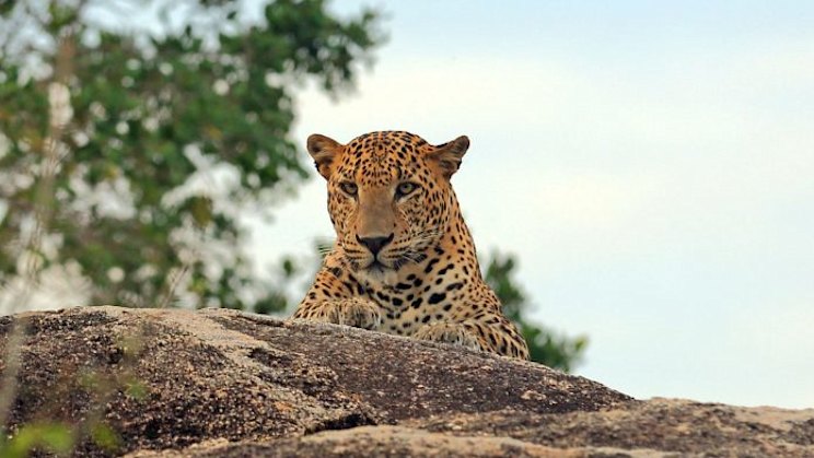 STS seriyasidagi aktyorlarning porno suratlari