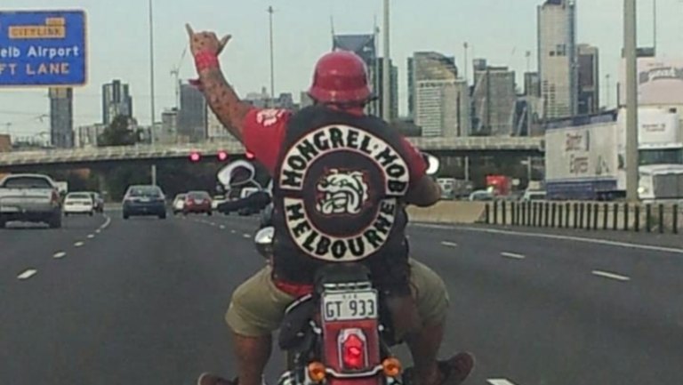 Rival Kiwi Crime Gangs Black Power And Mongrel Mob Muscle Up In Melbourne