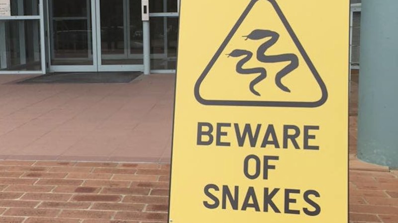 Public servants versus snakes: Spring brings out slithering reptiles