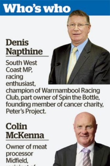 The Premier S Millionaire Mate