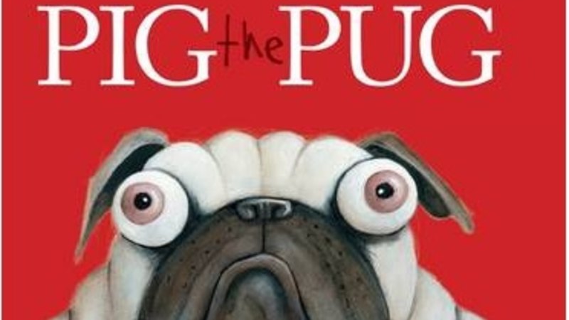 Funny shop pug stories