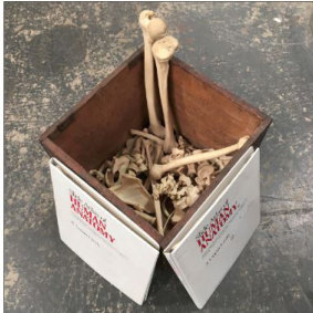 "Box of human bones with anatomy guides" advertised for sale on Lawsons' website.