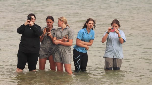 Royal watchers wait in the water at South Melbourne Beach.