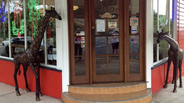 George and Henrietta are the giraffe mascots outside Wilston Vet in Brisbane's north.