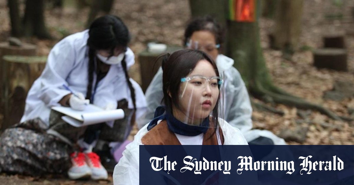 Virus-weary South Koreans compete to be the best at doing nothing at all - Vimarsana News