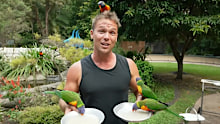 Join Lincoln Lewis in Surfers Paradise, known for its amazing beaches, flashy high rises and legendary theme parks on Getaway 2025.