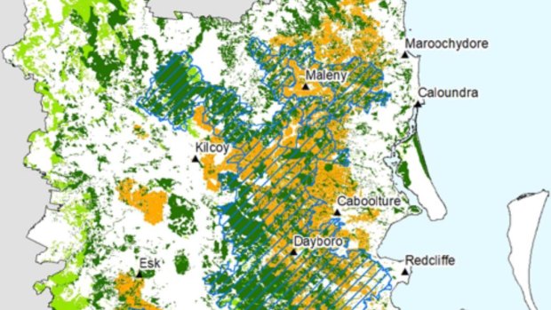 The blue-hatched areas show  critical koala habitat north of Brisbane in August 2020.