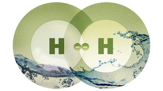 Artwork: Matthew Absalom-Wong 