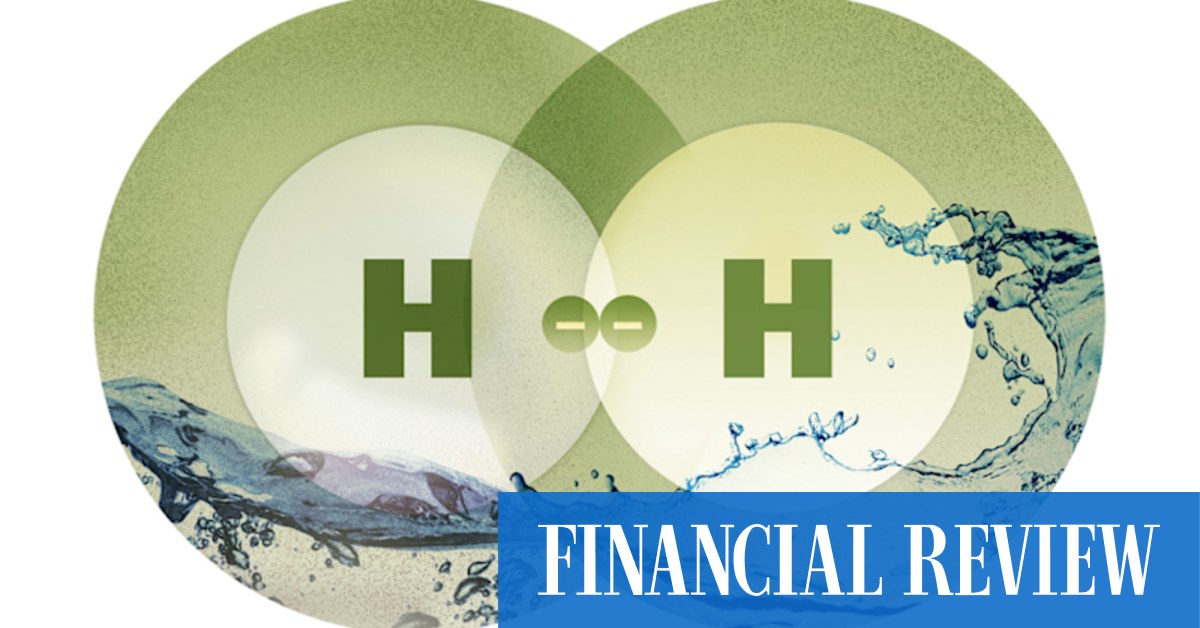 Woodside Energy buys $90m kit for its first green hydrogen project - Vimarsana News