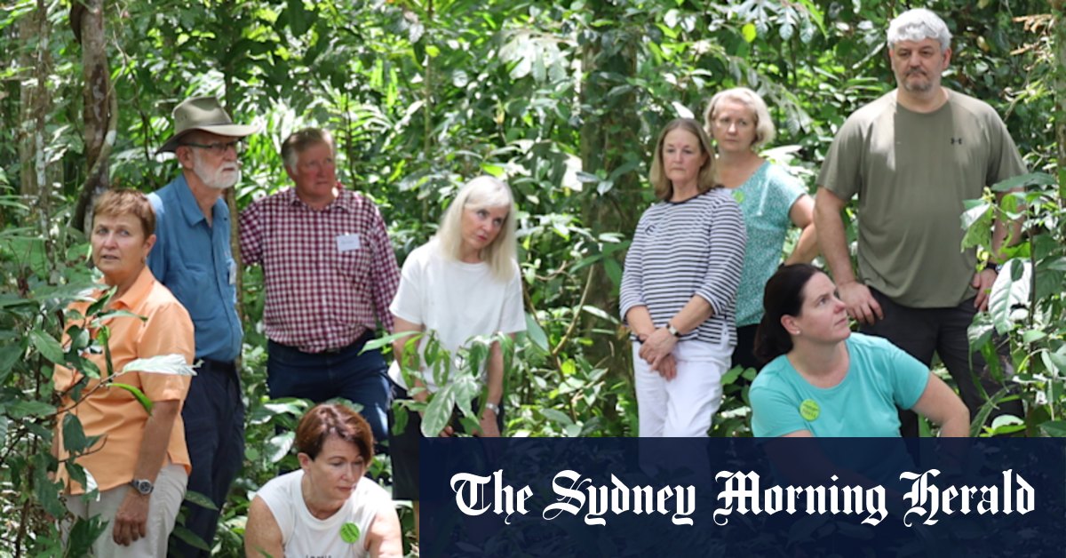 Anzac Day: Australian relatives of Sandakan death march victims gather in Borneo - Vimarsana News