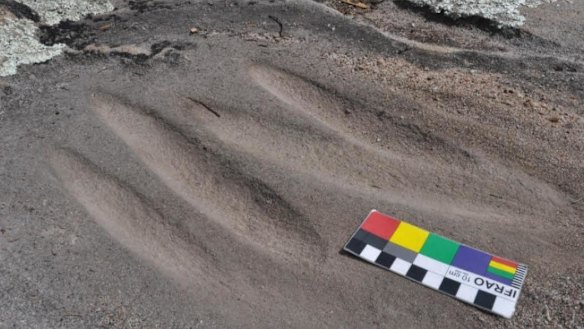 Grinding grooves show marks of ancient Indigenous warriors sharpening spears for battle. 