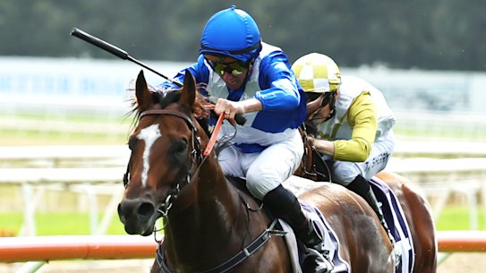 Golden Straand races away to win at Hawkesbury on May 2.