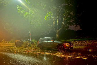 Sydney weather: Power outages, fallen trees across city after storms