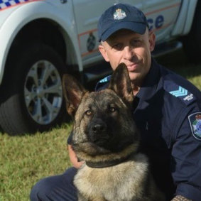 Police dog Rambo was hit by a vehicle while on duty. 