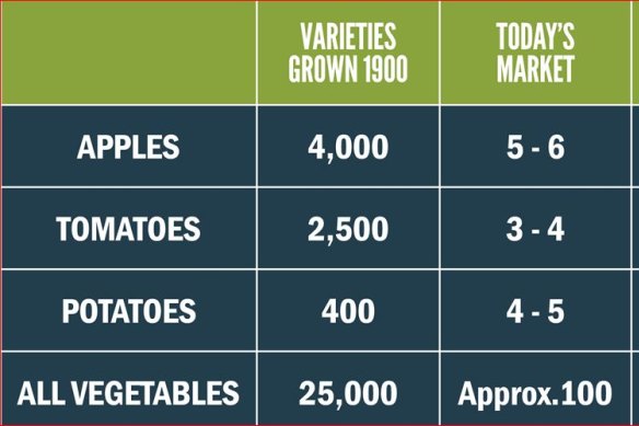The number of vegetable seeds has shrunk to a fraction since 1900, according to this chart by Diggers Club. 