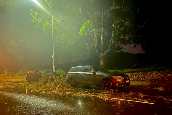 Trees were blown over outside Centennial Park on Oxford Street, Woollahra, after storms hit Sydney on Tuesday night.