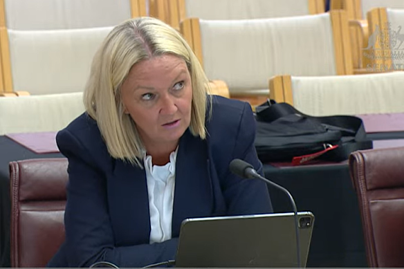 Jetstar CEO Stephanie Tully in testimony on Friday.