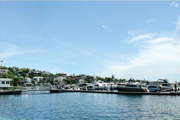 A concept image of the Rose Bay Marina expansion