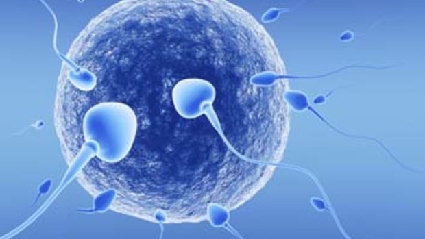 A Perth woman is hoping to become pregnant from her dead partner's sperm.