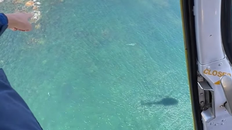 WA news LIVE: Divers rescued from encounter with 4.5m shark off WA coast