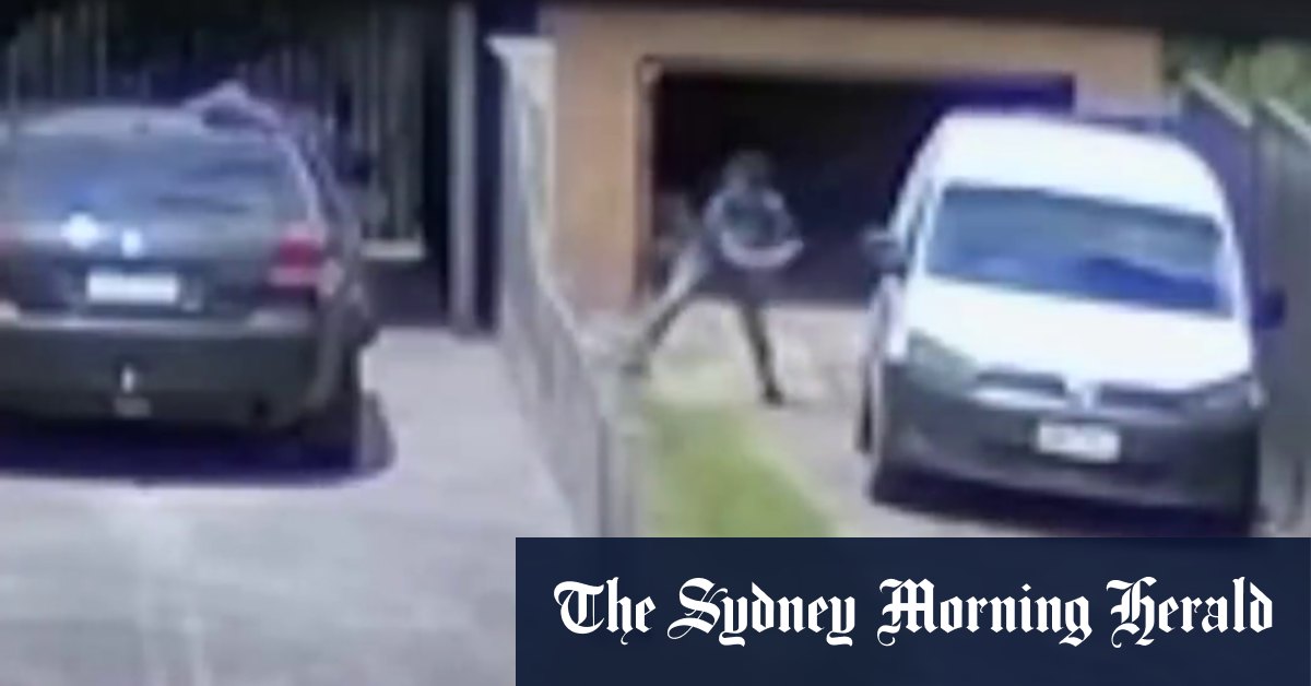 Cruel dog abuser gets security escort as tears, jeers and cheers greet his sentencing