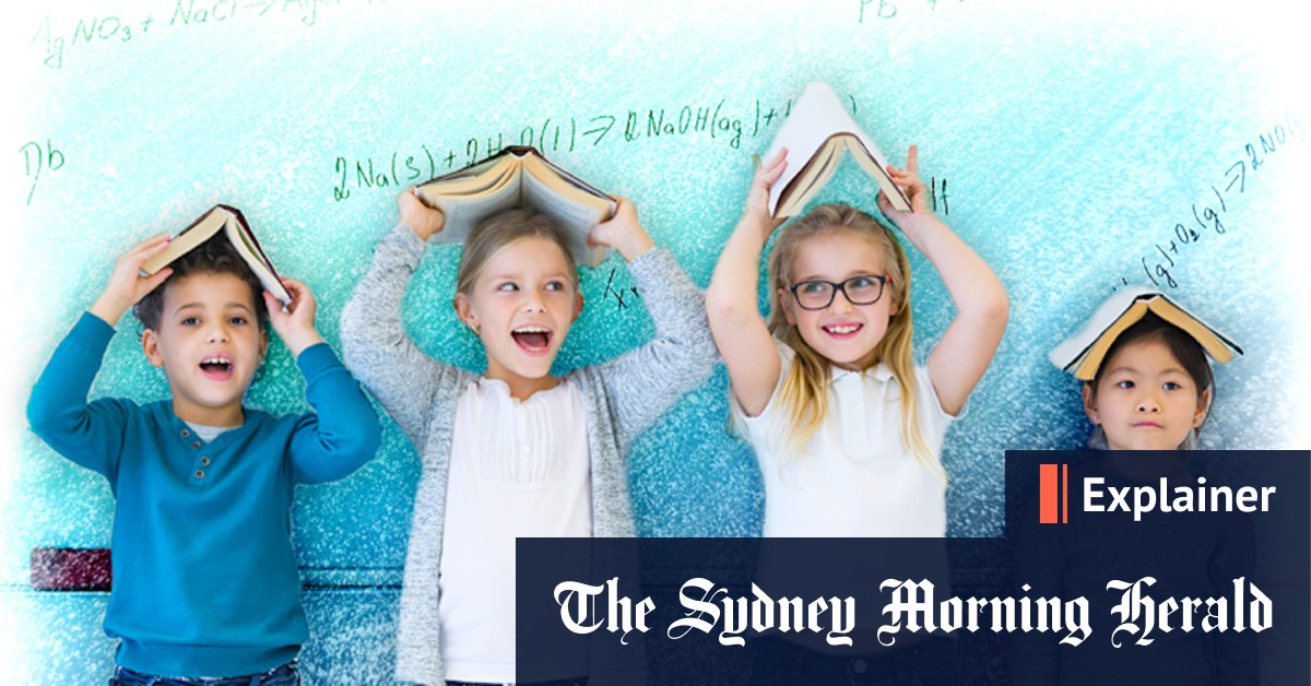 What is giftedness and is my child gifted? - Vimarsana News