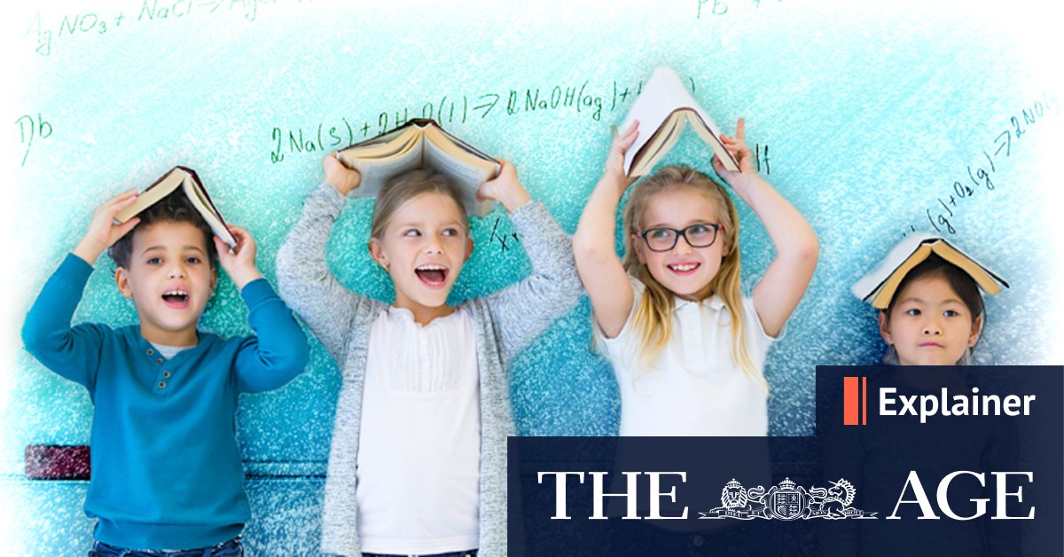 What is giftedness and is my child gifted? - Vimarsana News