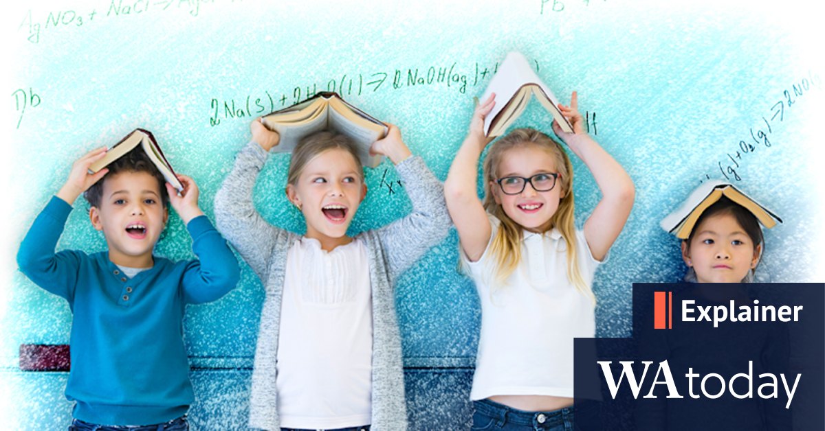 What is giftedness and is my child gifted? - Vimarsana News