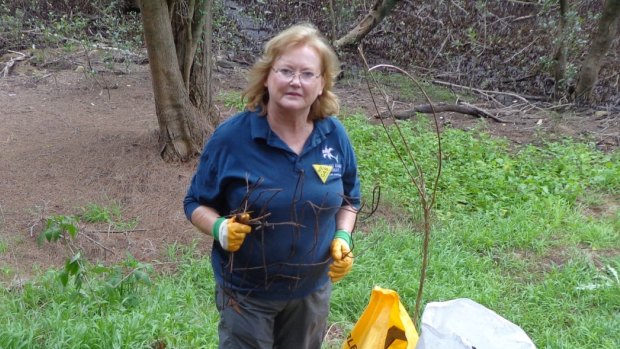 Jeneatte Minifie, convener of the Ryde Community Alliance, has been ordered to demolish her fence.