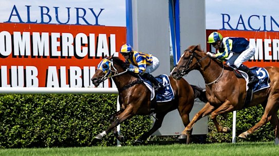 Racing returns to Albury on Tuesday.